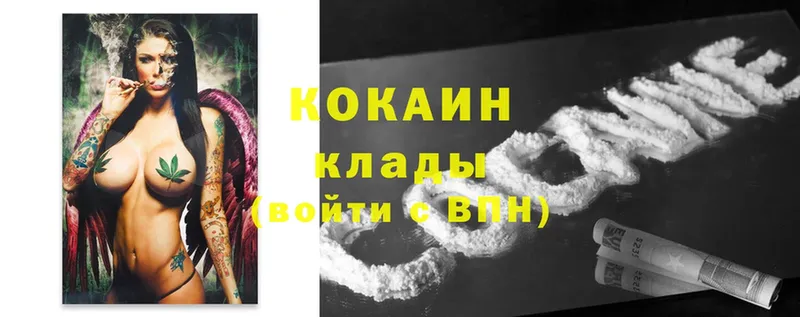 COCAIN Fish Scale  площадка официальный сайт  Якутск 